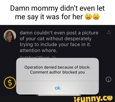 Damn Mommy