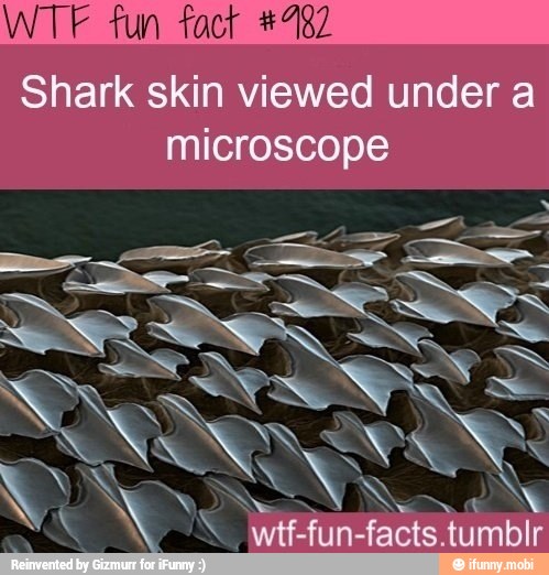 WTF fun fact #482