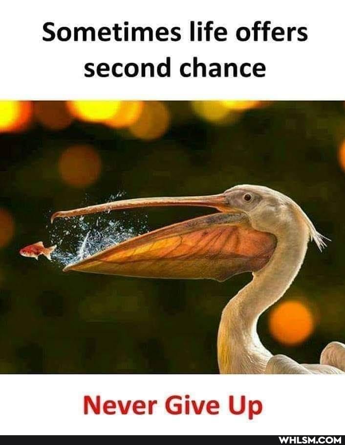 Sometimes life offers second chance
Never Give Up