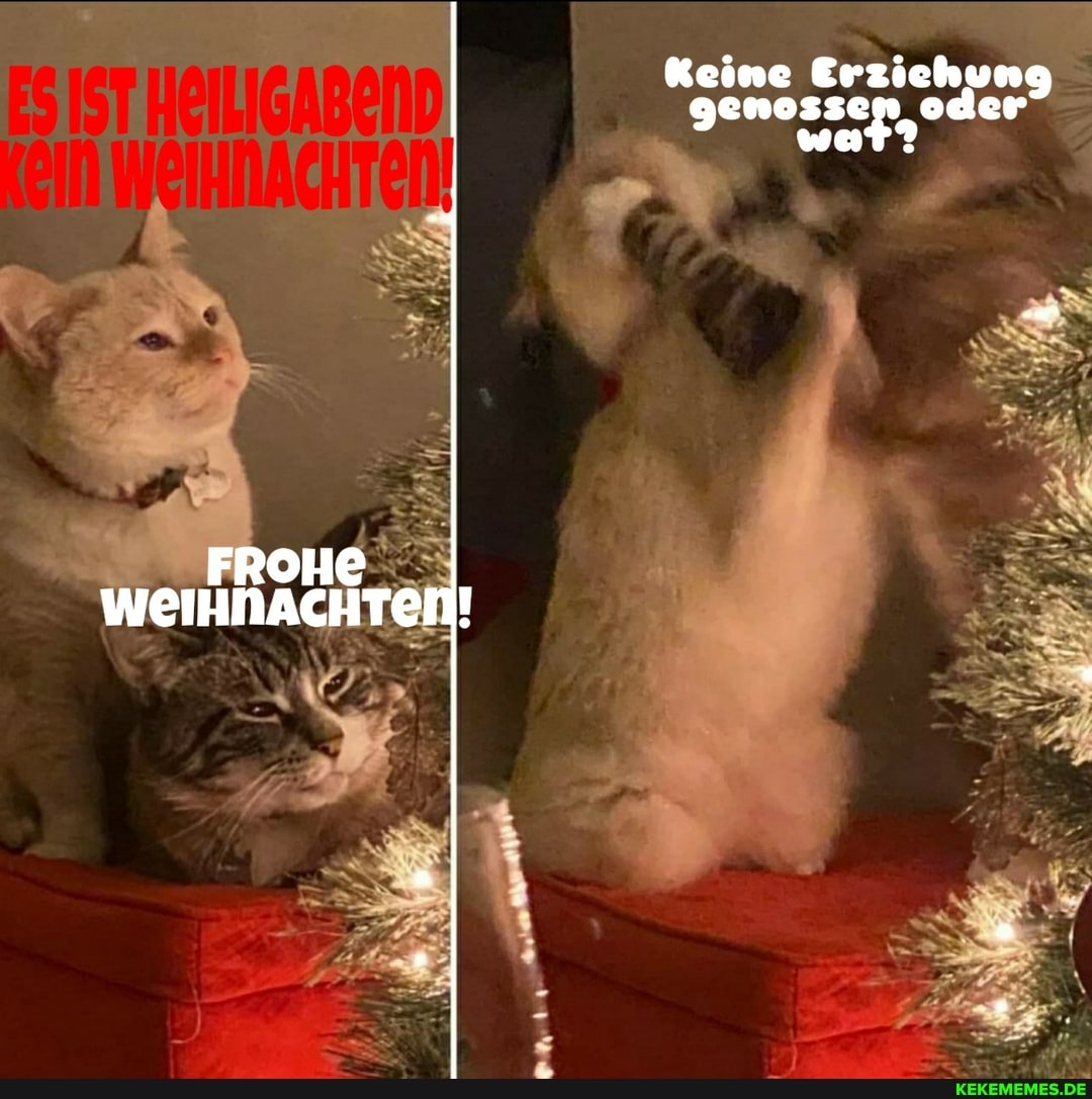 Keine Erzichun genosse er
FROHE
WEIHNACHTEN!