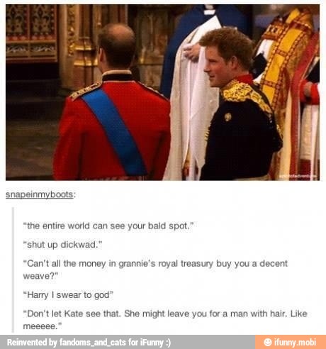 he entire world can your bald spot
'shut dickwad.