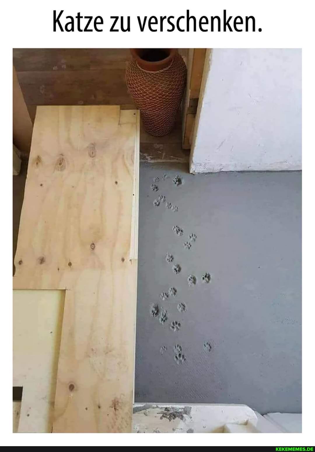 Katze zu verschenken.