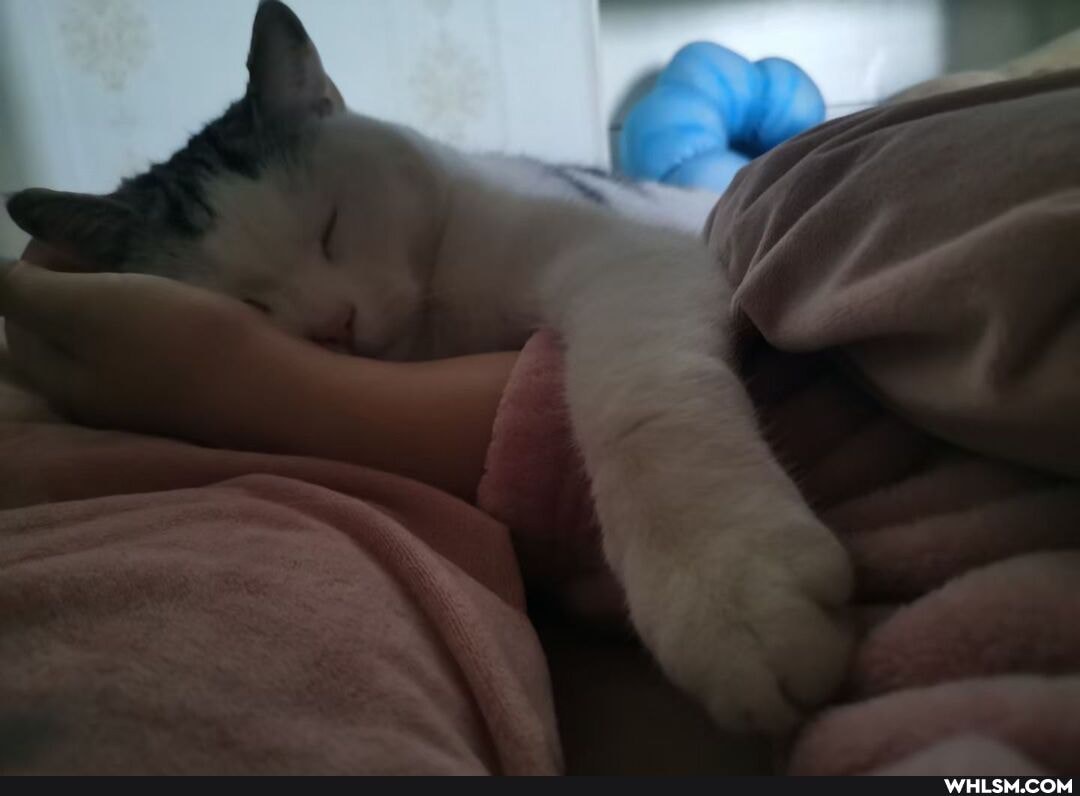 awww
