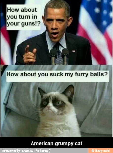 How about
you turn in
American grumpy cat