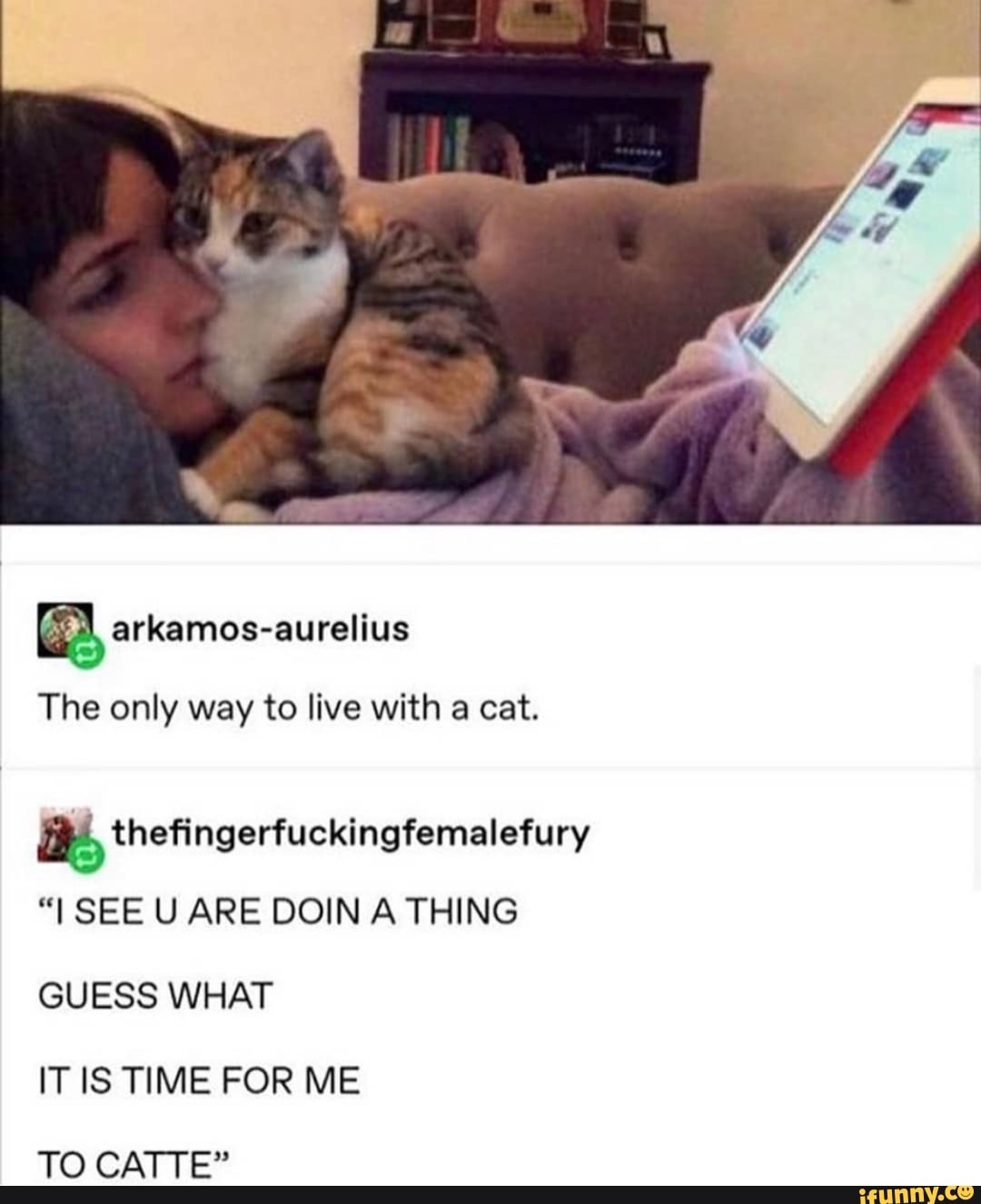 The only way to live with a cat.
thefingerfuckingfemalefury
"I SEE U ARE DOIN A THING GUESS WHAT
IT IS TIME FOR ME
TO CATTE"