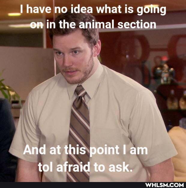 have no idea what is golng on in the animal section
And at this point Iam tol afraid to ask.