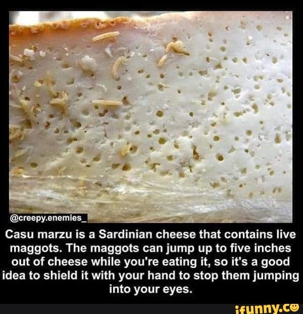 Casu marzu is a Sardinian cheese that contains live maggots. The
