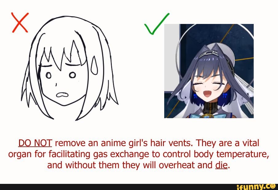 DO NOT remove an anime girls hair vents They are a vital organ for  facilitating gas exchange to control body temperature and without them  they will overheat and die  iFunny Brazil