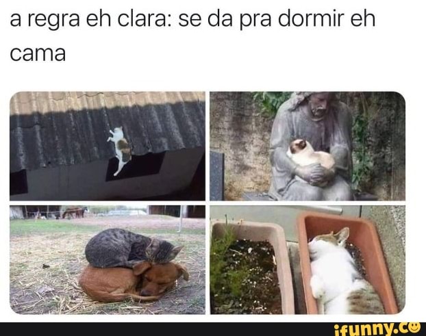 a regra eh clara: se da pra dormir eh cama