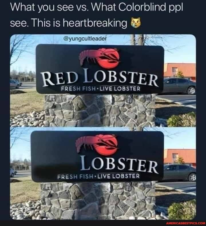 What you see vs. What Colorblind ppl see. This is heartbreaking
@yungcultleader
FRESH FISH LIVE LOBSTER
FISH LIVE LOBSTER
LOBSTER
FRESH FISH -LIVE LOBSTER