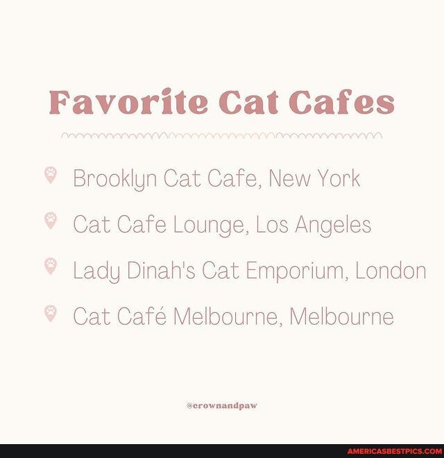 Favorite Cat Cafes Brooklyn Cat Cafe, New York Cat Cafe Lounge, Los