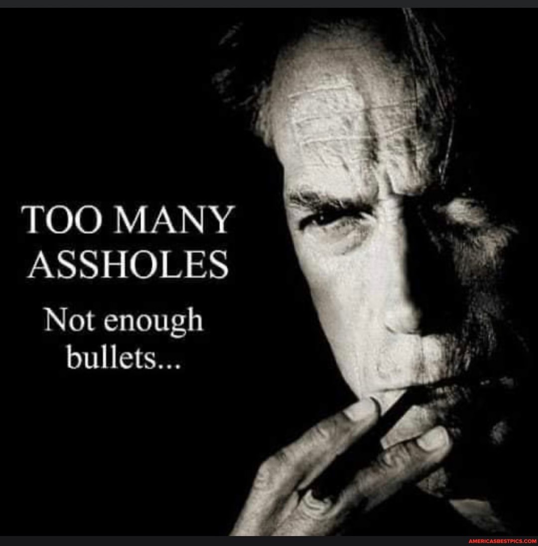 TOO MANY ASSHOLES Not enough bullets...