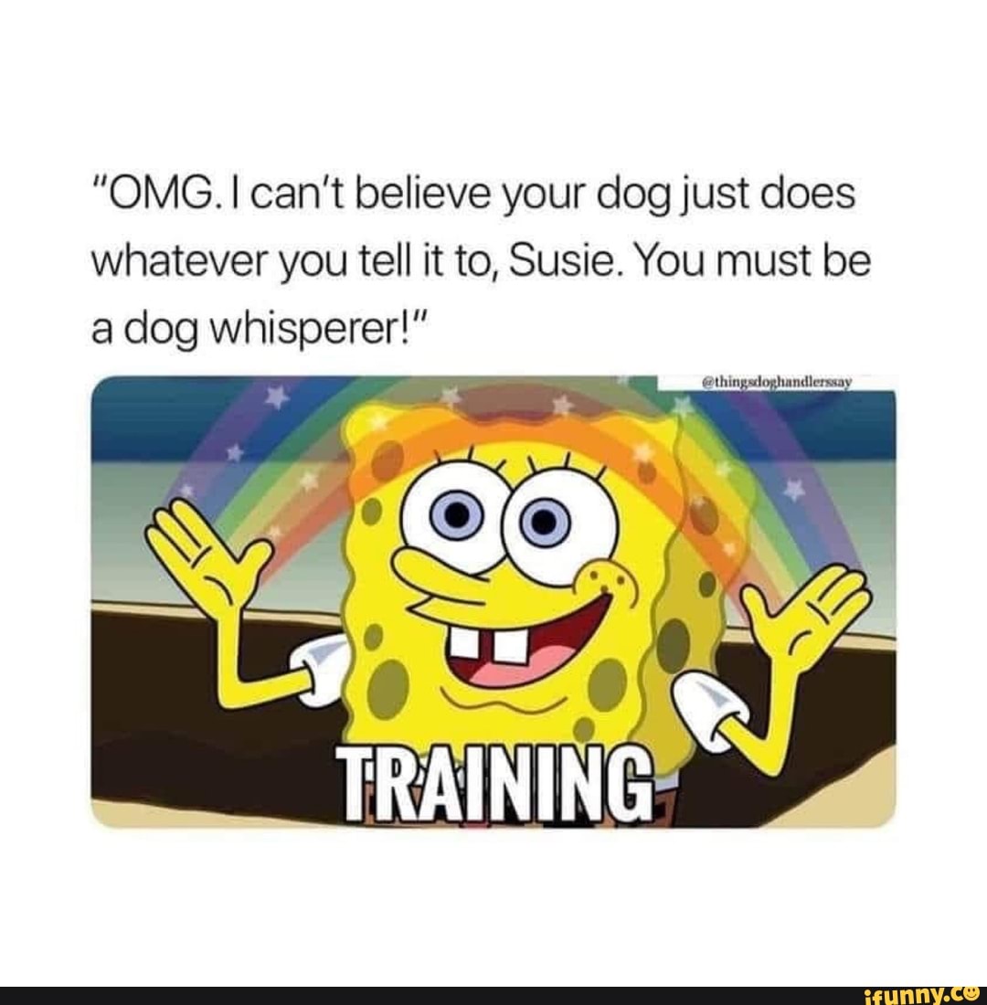"OMG. can't believe your dog just does whatever you tell it to, Susie. You must be a dog whisperer!"
TRAINING