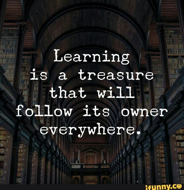 Learning is a treasure that will follow its owner everywhere. - iFunny