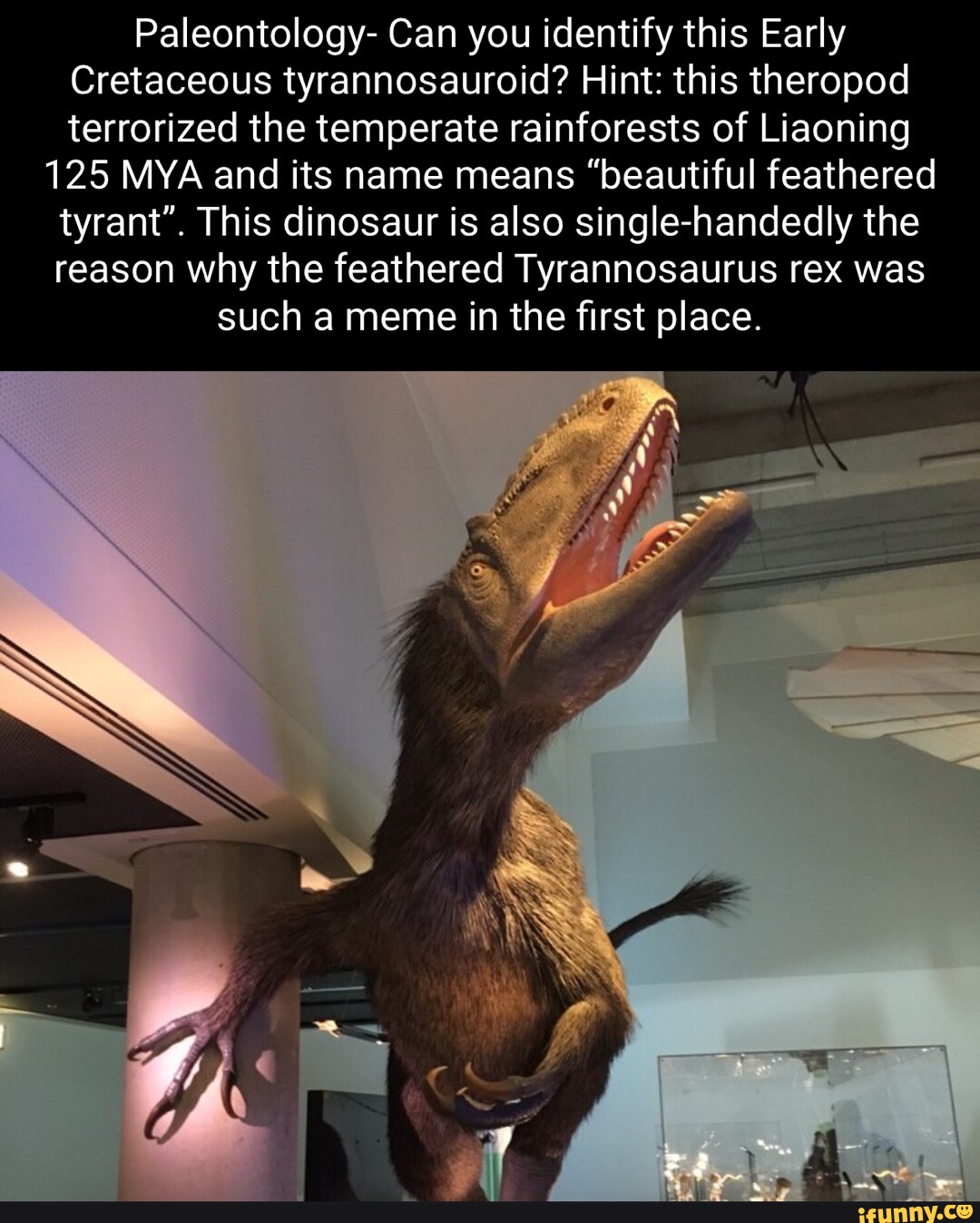 Paleontology Can you identify this Early Cretaceous tyrannosauroid