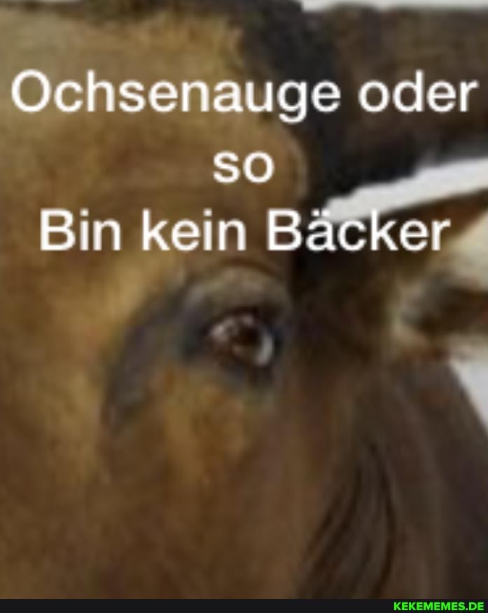 Ochsenauge oder so
Bin kein BäCker