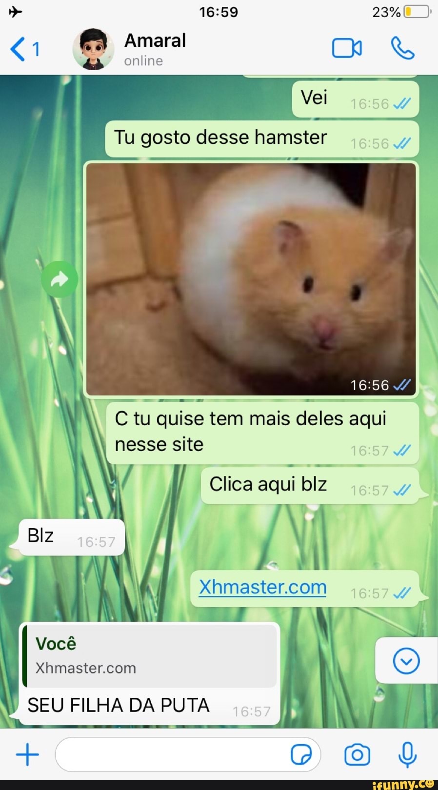 Tu gosto desse hamster
Ctu
quise tem mais
deles aqui
nesse site
4
Clica aqui
biz
Xhmaster.com