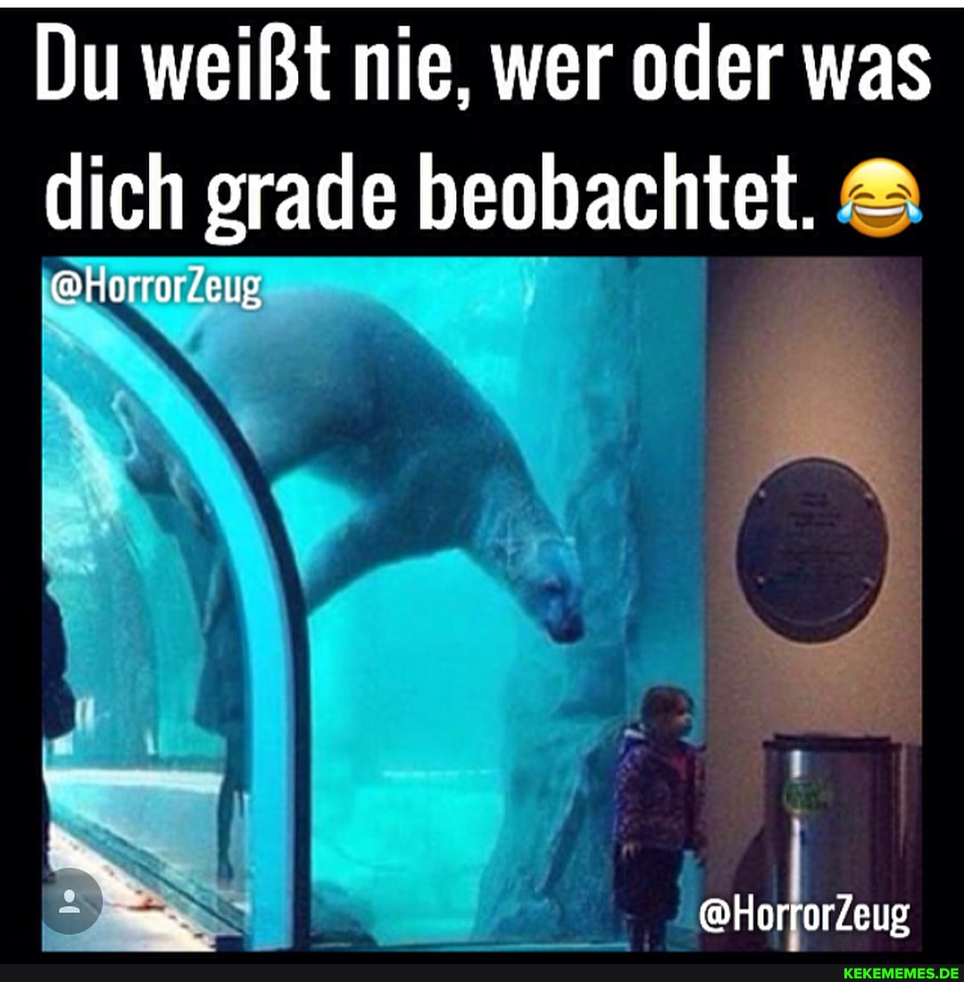 Du weißt nie, wer oder was dich grade beobachtet. &
@HorrorZeug