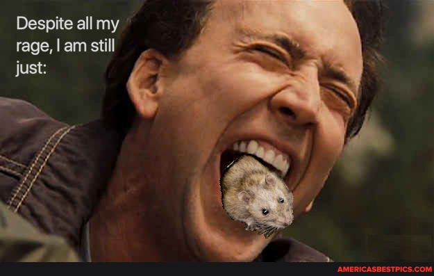 Despite all my rage, I am stil
a~ just: ly