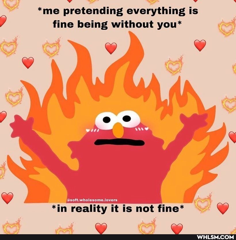 *me pretending everything is fine being without you*
wholes
*in reality it is not fine*