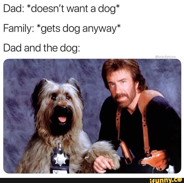 Dad *doesn't want a dog* Family *gets dog anyway* Dad and the dog
