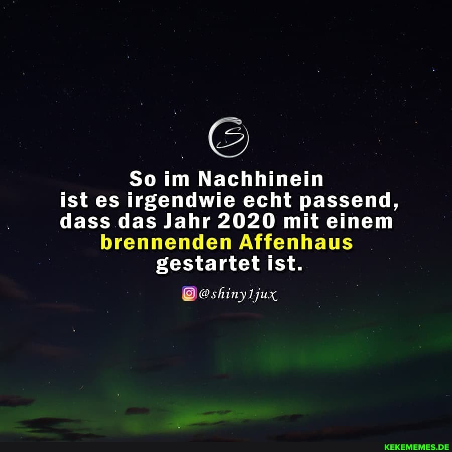So im Nachhinein ist es irgendwie echt passend, dass das Jahr 2020 mit einem brennenden Affenhaus gestartet ist.