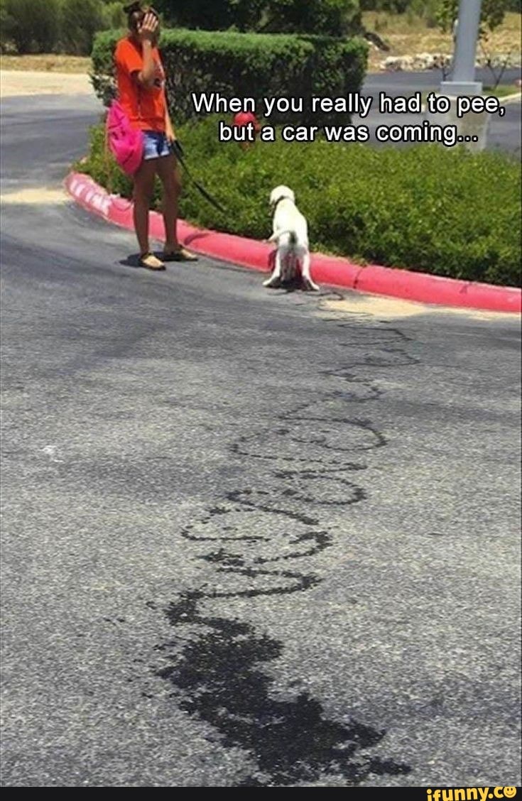 When you really had to pee, but a car was coming... iFunny