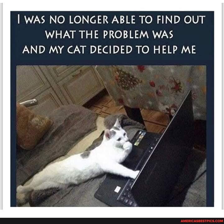 I WAS NO LONGER ABLE TO FIND OUT WHAT THE PROBLEM WAS AND MY CAT DECIDED TO HELP ME