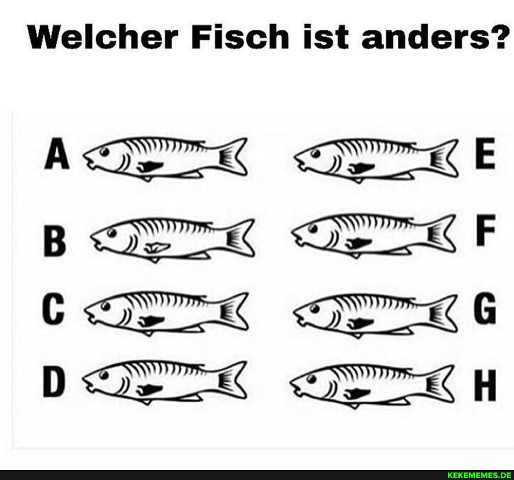 Welcher Fisch ist anders?