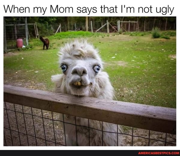 When my Mom says that I'm not ugly