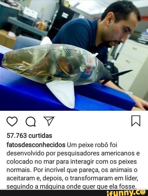 desenvolvido por pesquisadores americanos e
colocado no mar para interagir com os peixes
normais. Por incrível que pareça, os animais o
aceitaram e, depois, o transformaram em líder,
seguindo a máquina onde quer que ela fosse.