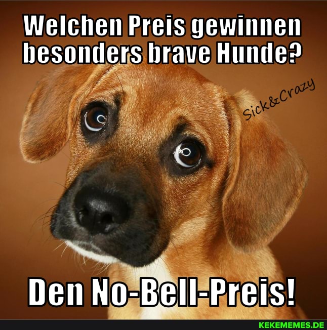 Welchen Preis gewinnen
Hunde?
hesonders
Den