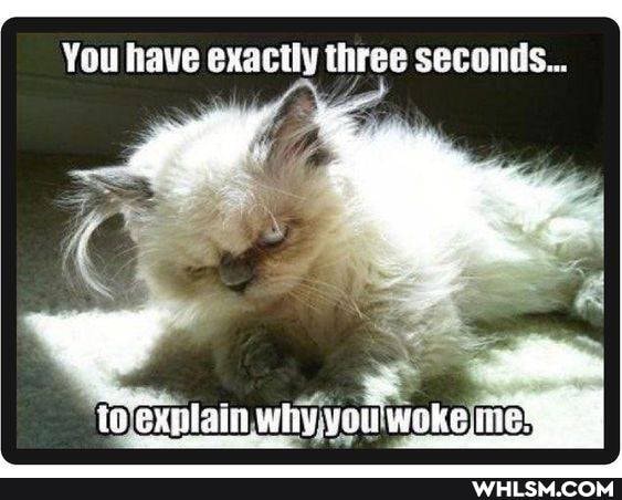 You have exactly three seconds...
exutain why you woke