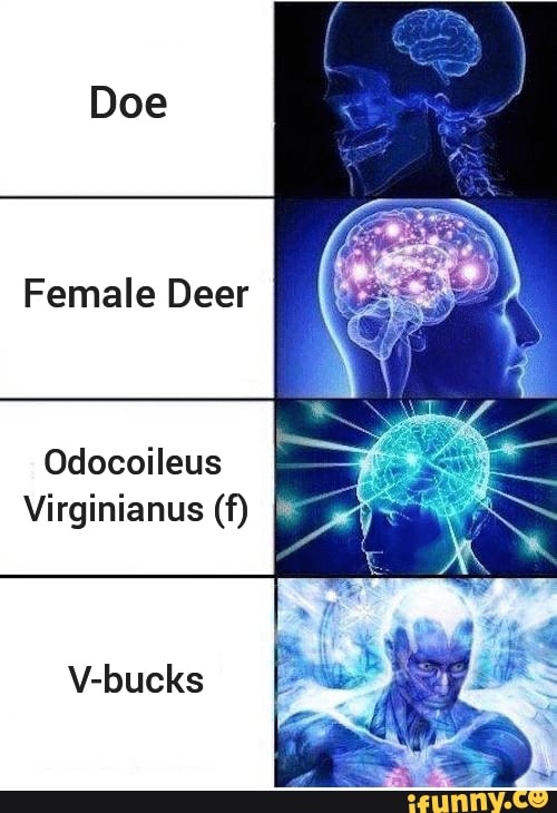 Doe
Female Deer
Odocoileus
Virginianus (f)
V-bucks