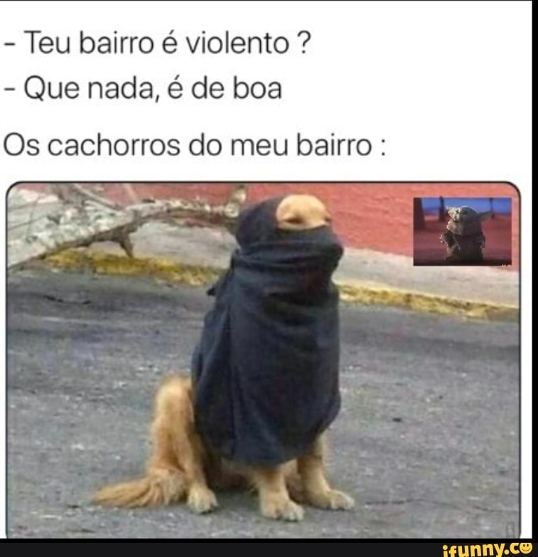 Teu bairro é violento Que nada, é de boa
Os cachorros do meu bairro