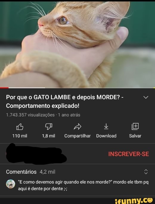Por que o GATO LAMBE e depois MORDE? - Comportamento explicado! 1.743. ...