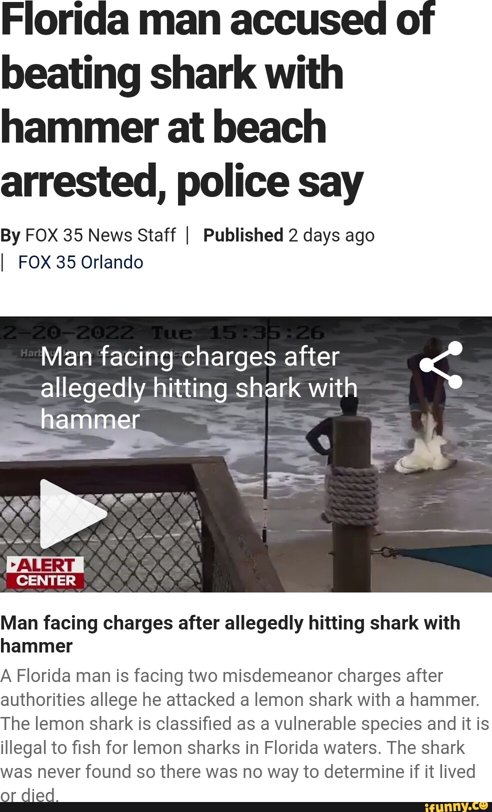 Florida Man Accused Of Beating Shark With Hammer At Beach Arrested Police Say By Fox 35 News