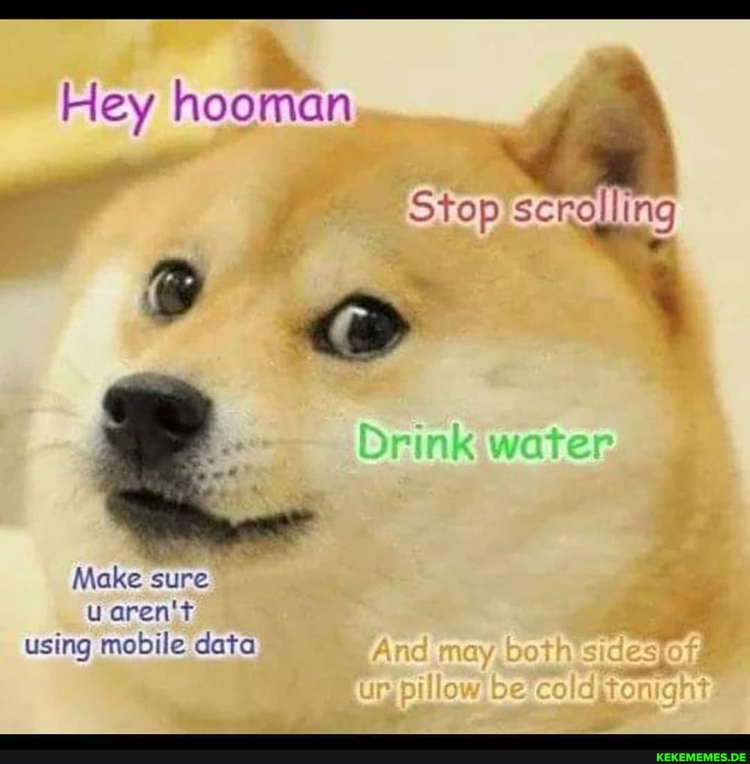 Hey hooman
Stop ing
> @
Drink water
Make sure u aren't using mobile data