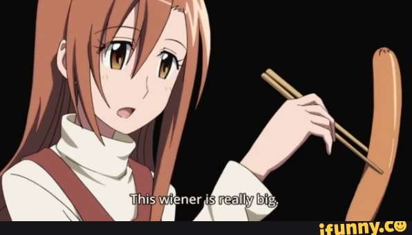 seitokai, seitokaiyakuindomo, anime, animu, wiener