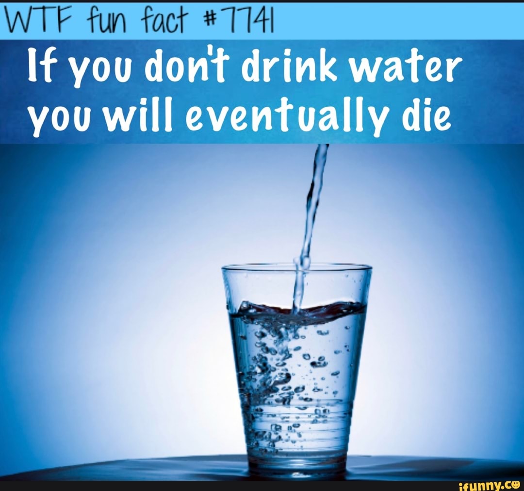 WTF fun fact #1141
If you dont drink water
you will eventually die