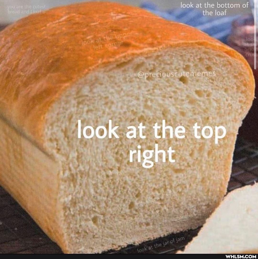 look at the bottom of I the loaf I
look at the top /
right