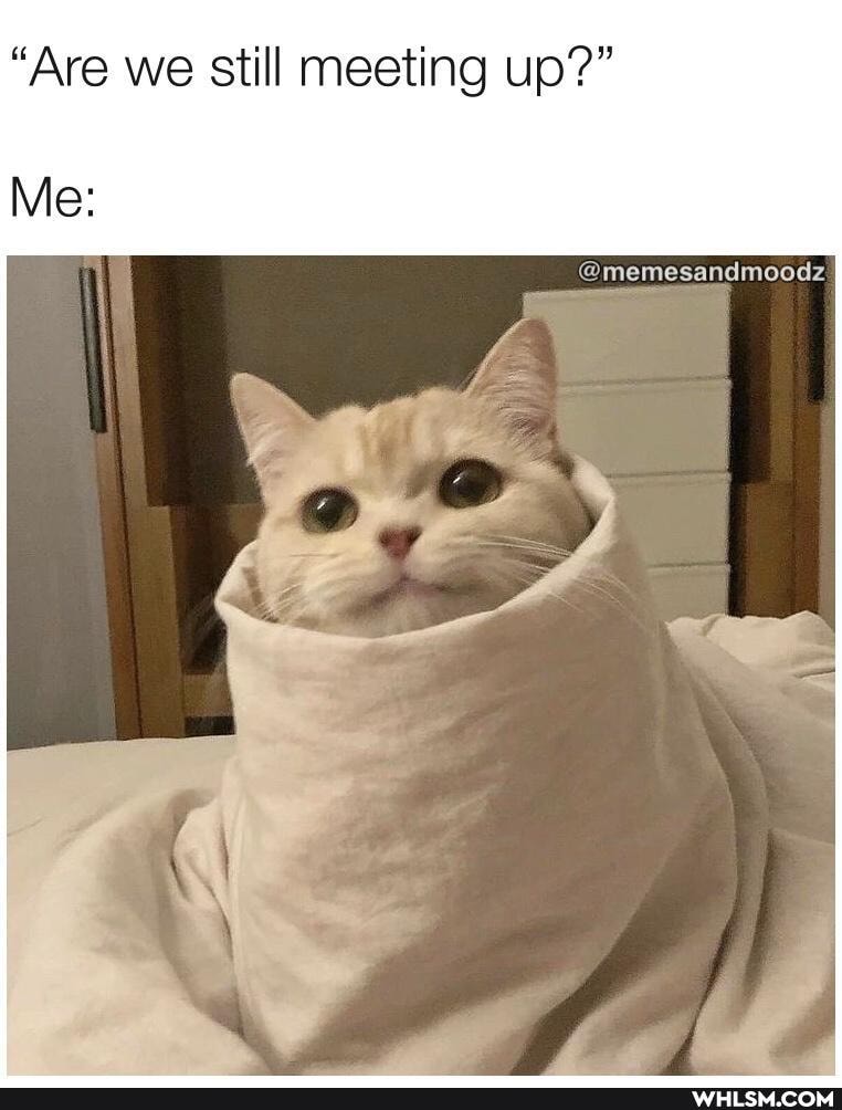 "Are we still meeting up?"
Me:
@memesandmoodz