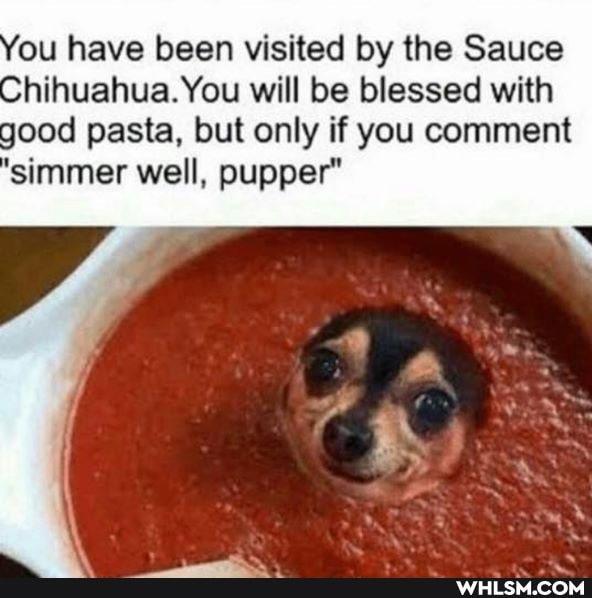 You have been visited by the Sauce
Chihuahua. You will be blessed with good pasta, but only if you comment
"simmer well, supper
os