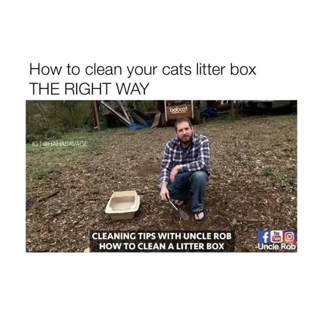 uncle rob litter box