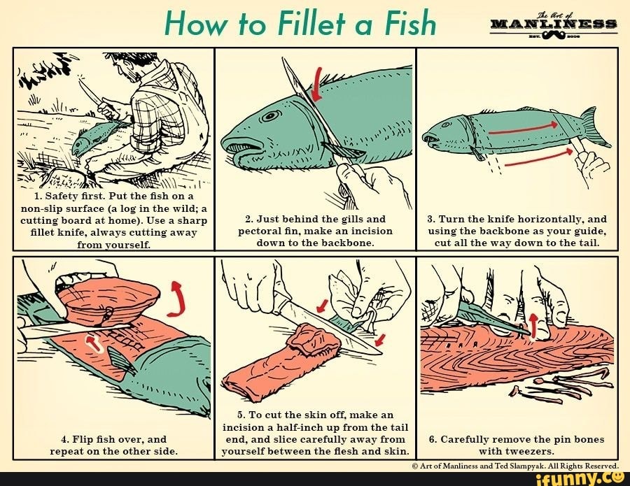 How to Fillet a Fish anijazss non-slip surface (a log in the wild; a ...