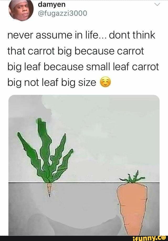 damyen
@fugazzi3000
never assume in life... dont think that carrot big because carrot big leaf because small leaf carrot big not leaf big size