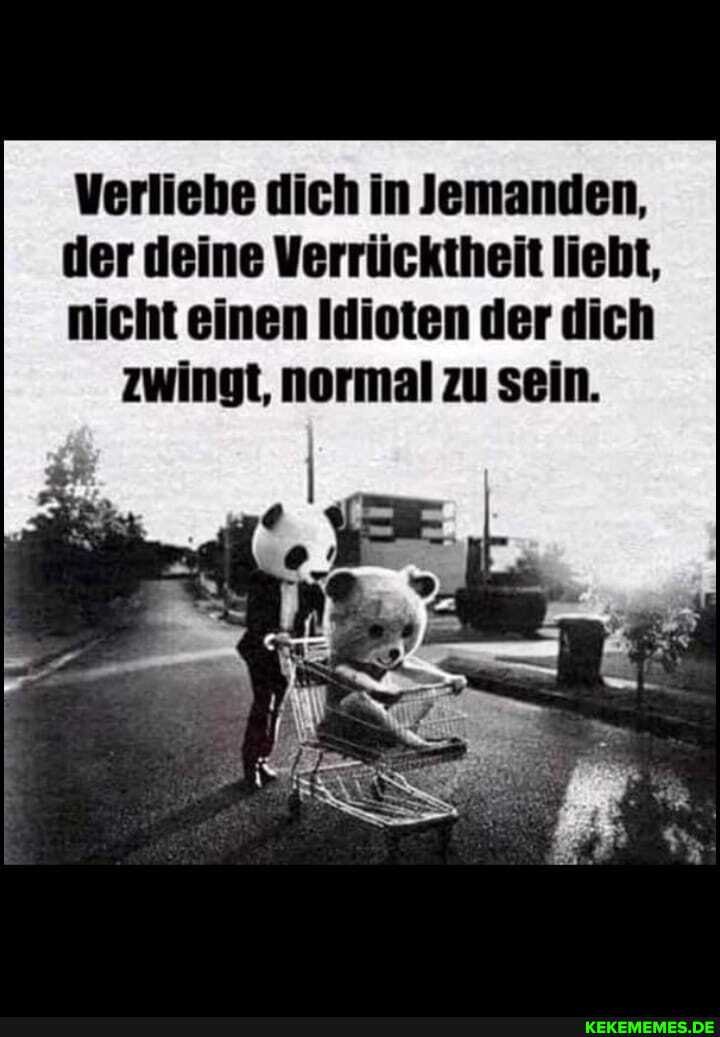 Verliebe dich in Jemanden,
der deine Verrücktheit liebt,
nicht einen Idioten der dich zwingt, normal zu sein.