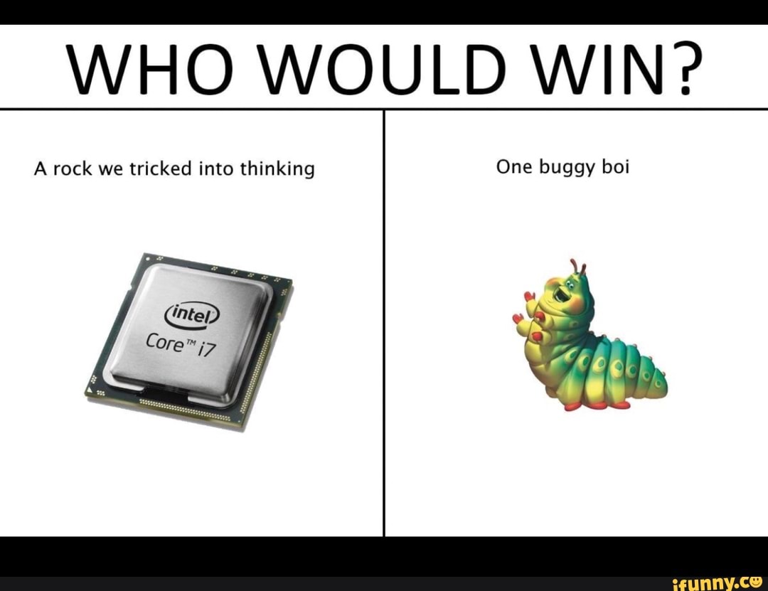 Who Would Win A Rock We Tricked Into Thinking One Buggy Boi Ifunny