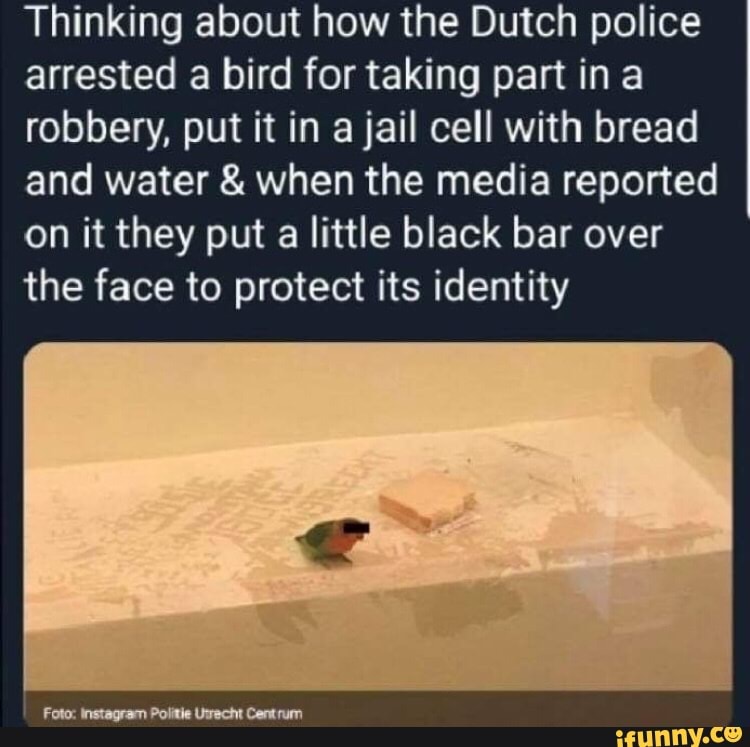 Thinking about how the Dutch police
arrested a bird for taking part in a
robbery, put it in a jail cell with bread
and water & when the media reported
on it they put a little black bar over
the face to protect its identity