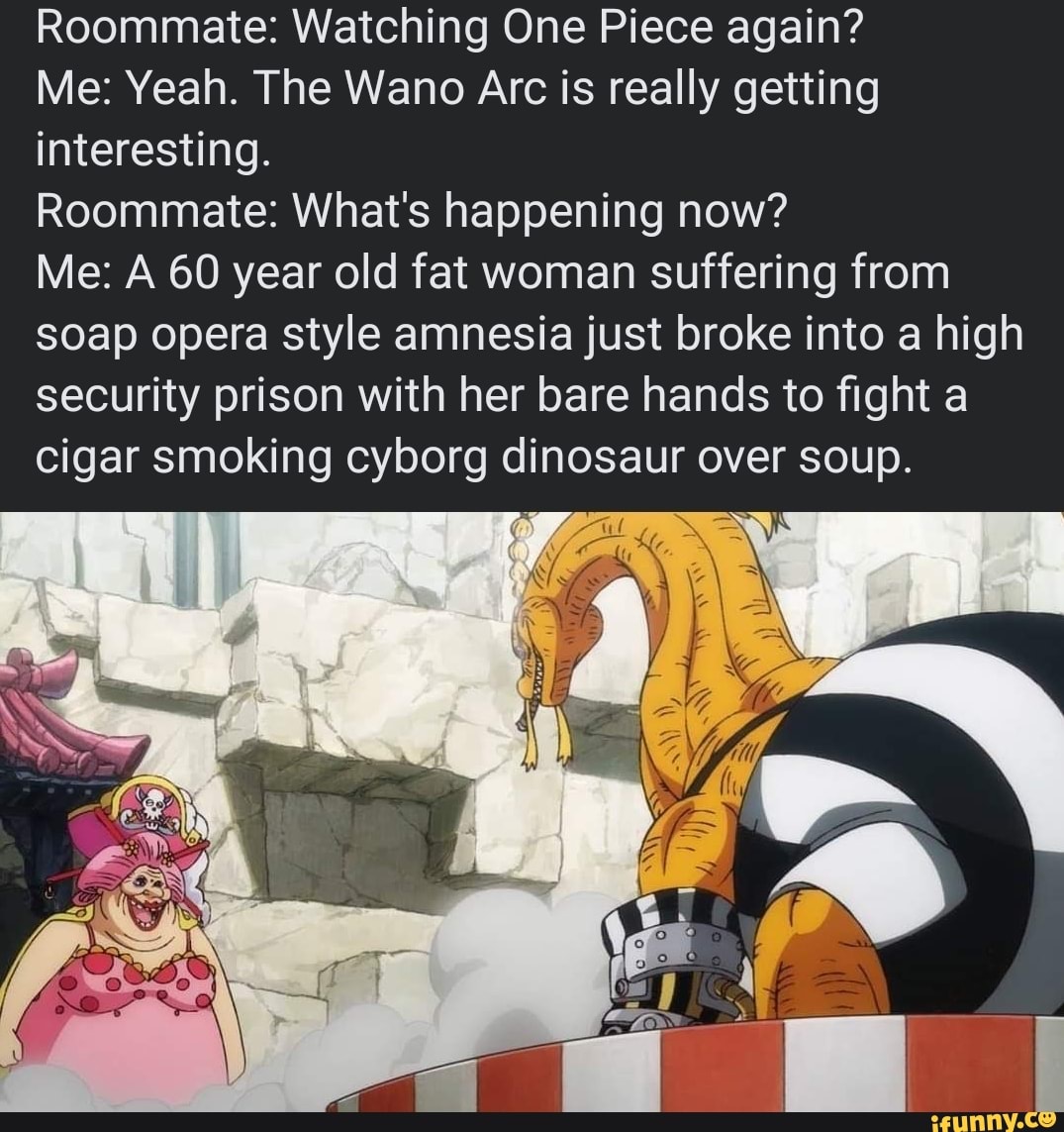 Roommate Watching One Piece Again Me Yeah The Wano Arc Is Really Getting Interesting Roommate What S